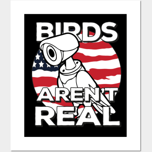 birds aren't real Posters and Art